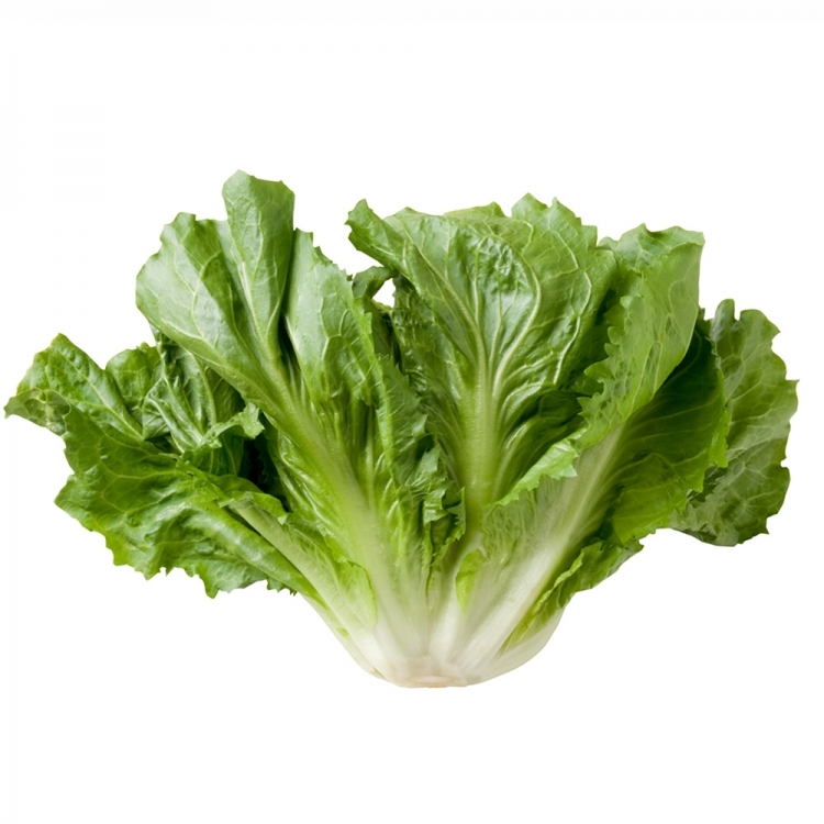 escarole