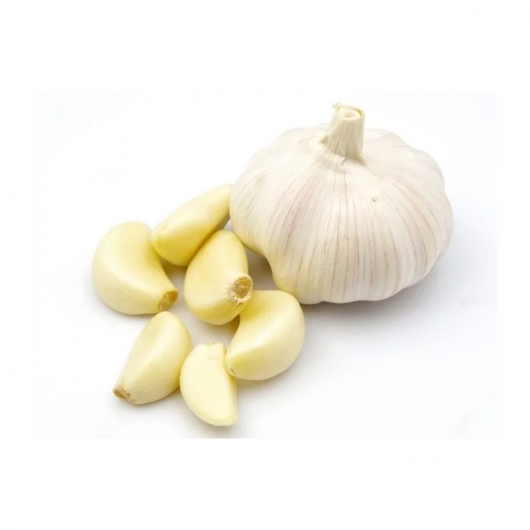 garlic